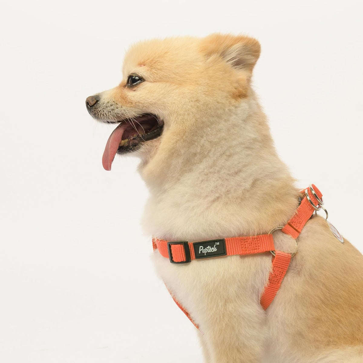 PUPTECK No Pull Dog Harness Soft Adjustable Basic Nylon Step in Puppy Vest Outdoor Walking with ID