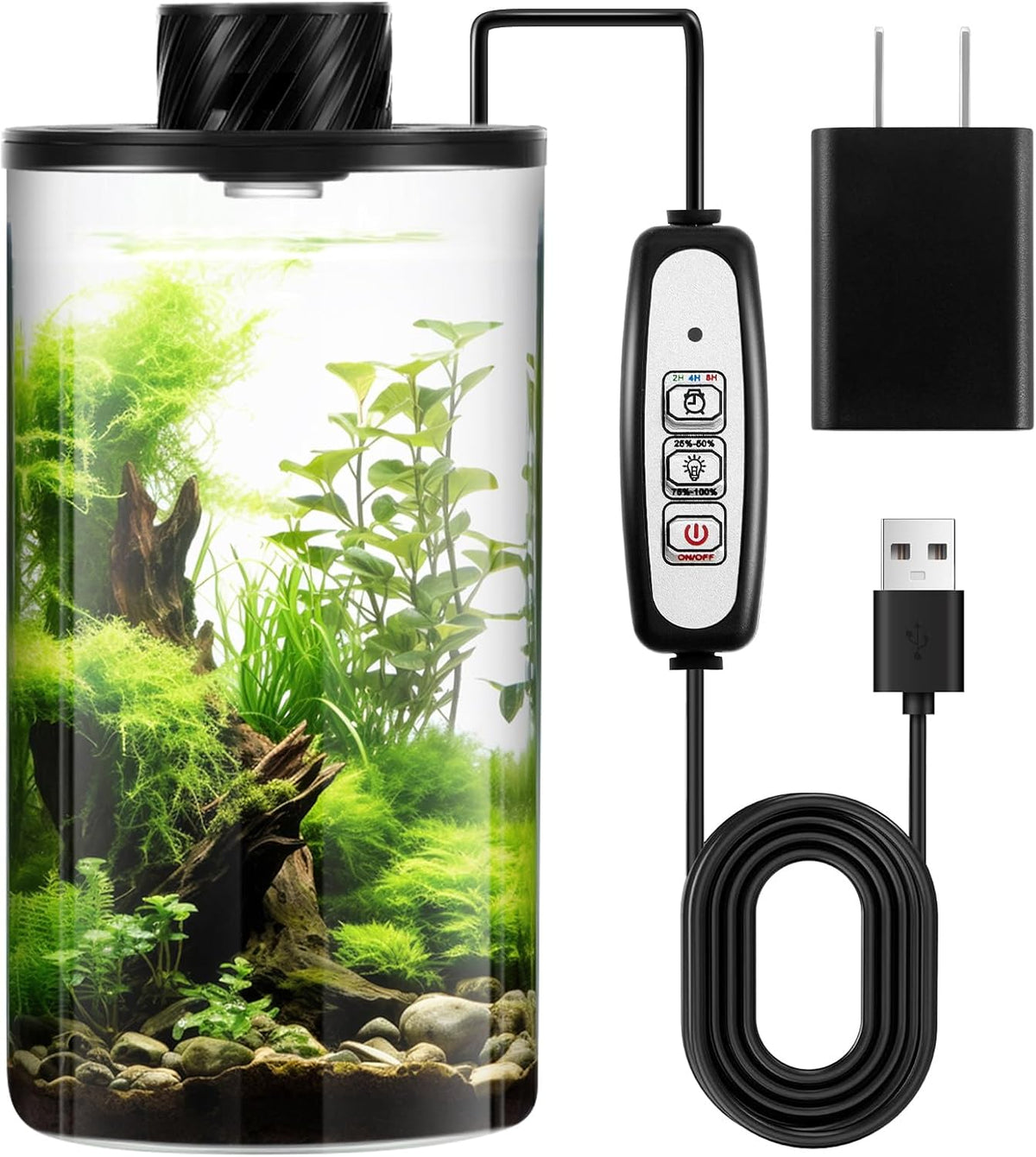 Maxdot Glass Plant Terrarium Kit with Light for Succulent, Moss, Miniature Gardening Landscape