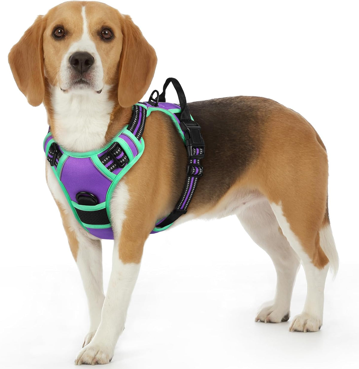 Eagloo Dog Harness Small Sized Dog, No Pull Service Vest with Reflective Strips and Control Handle