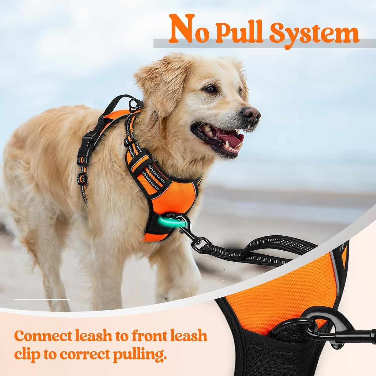 rabbitgoo Dog Harness No Pull with 2 Leash Clips, Adjustable Soft Padded, Reflective Oxford No