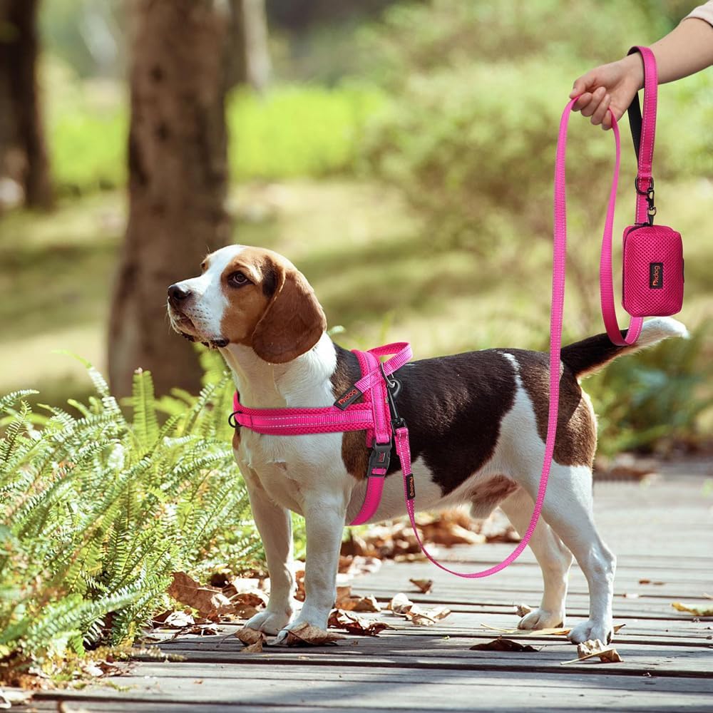Didog No Pull Dog Harness with Soft Mesh Padded,Reflective & Quick Fit Light Weight Dog Strap Vest