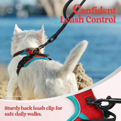 rabbitgoo Dog Harness No Pull with 2 Leash Clips, Adjustable Soft Padded, Reflective Oxford No