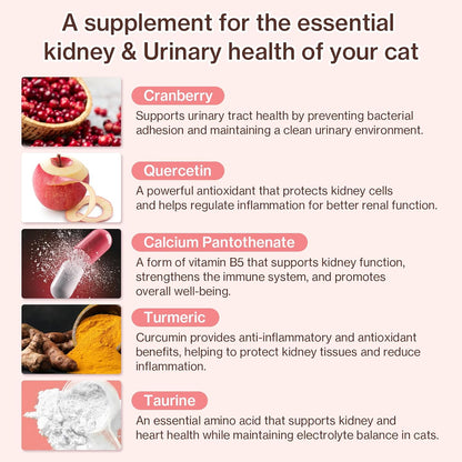 Dr.by UT Care Cat UTI Kidney Support Urinary Supplement Cranberry Treatment for Cats Renal Health