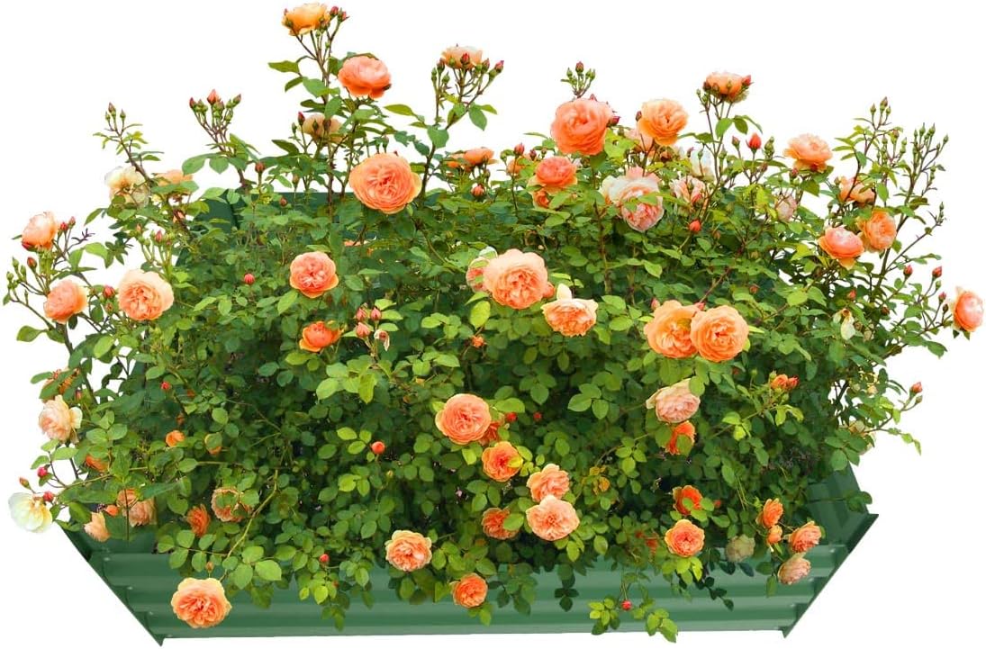 4x4x1ft Metal Raised Garden Bed Kit，Galvanized Garden Bed Box for Vegetables, Flowers, Herbs, and