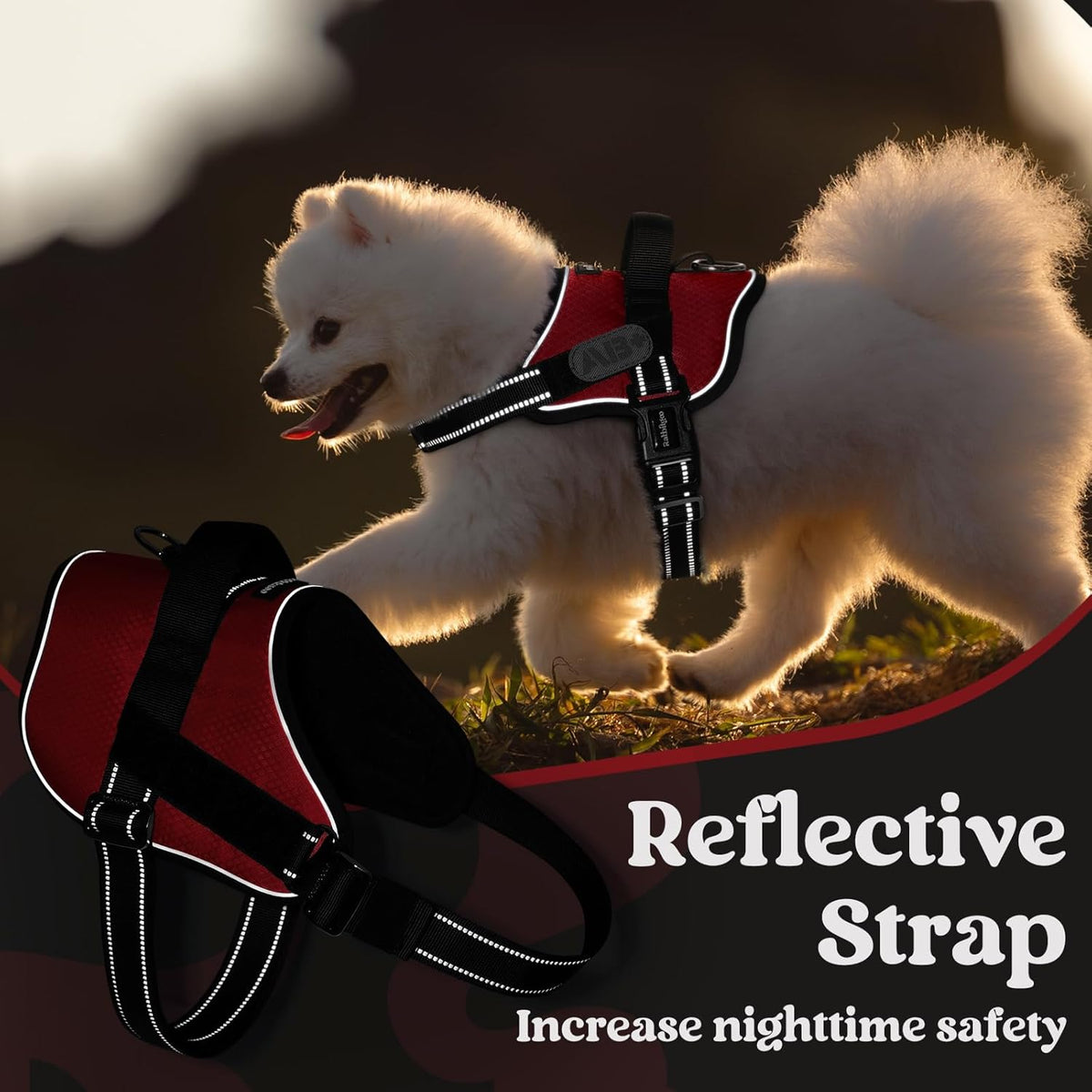 rabbitgoo Dog Harness for Small, Easy On Pet Vest with One Buckle, No Pull Adjustable Service