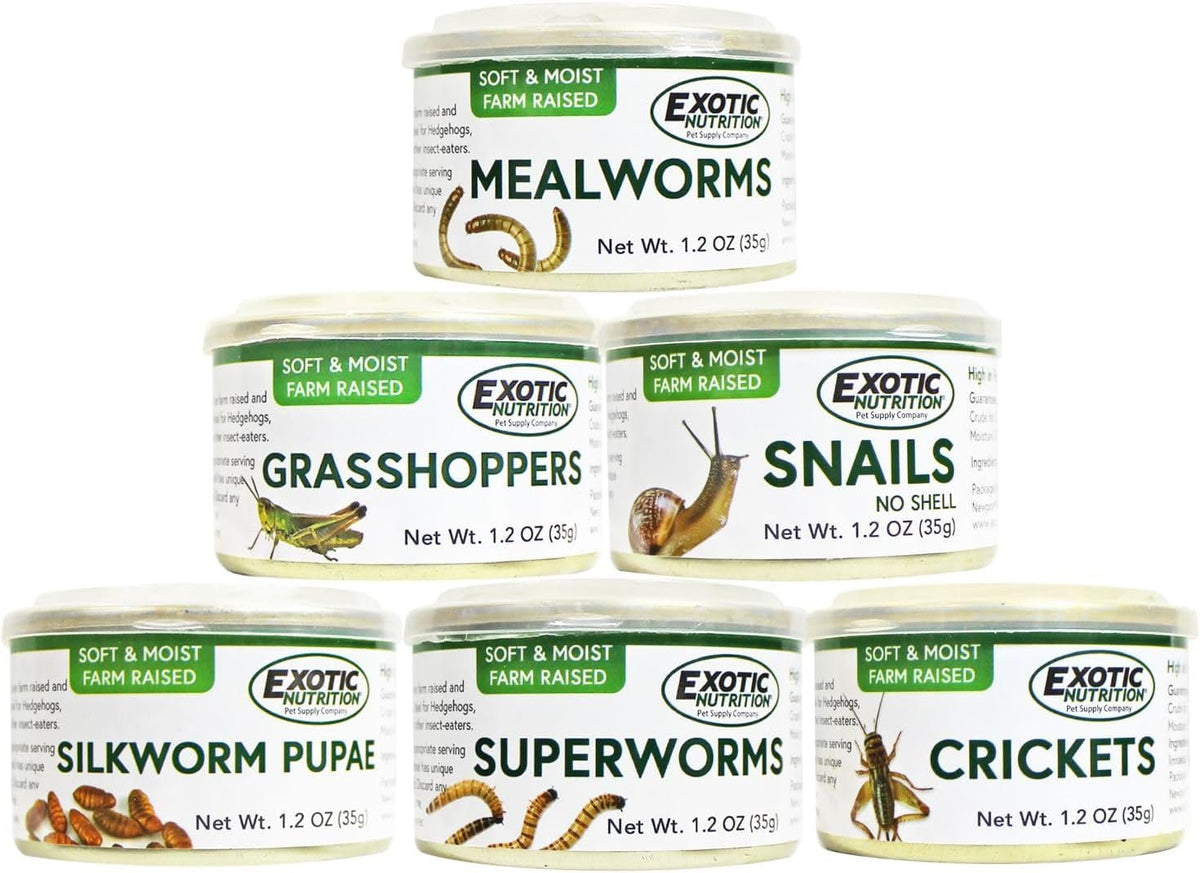 Canned Insect Assortment 6 Pack - Healthy High Protein Treat - For Hedgehogs, Sugar Gliders