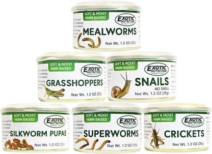 Canned Insect Assortment 6 Pack - Healthy High Protein Treat - For Hedgehogs, Sugar Gliders