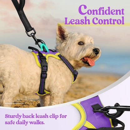 rabbitgoo Dog Harness No Pull with 2 Leash Clips, Adjustable Soft Padded, Reflective Oxford No