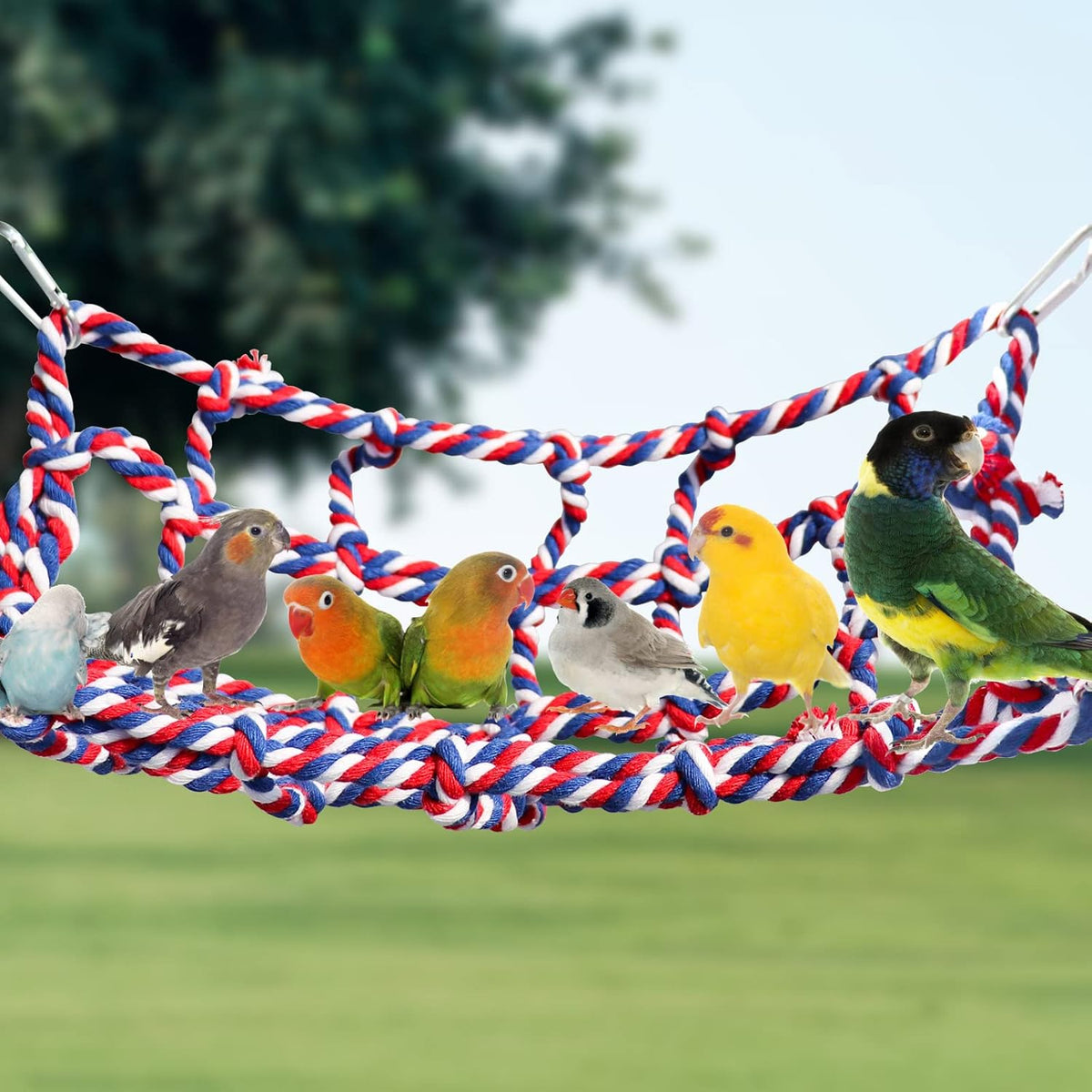 2 Pack Large Colorful Bird Rope Net, 14 × 10 Inches Rat Climbing Rope Net, Pet Hanging Hammock