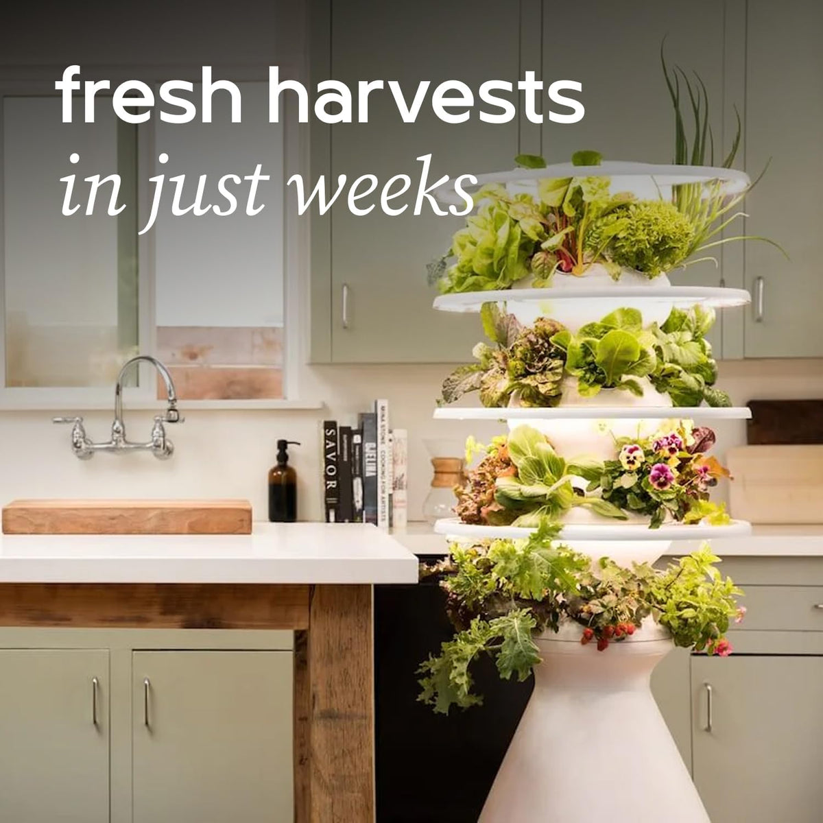 Farmstand Starter Kit with Glow Rings and 18 Seedling Credits | Small Hydroponic Growing System Kit