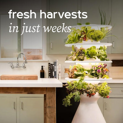 Farmstand Starter Kit with Glow Rings and 18 Seedling Credits | Small Hydroponic Growing System Kit