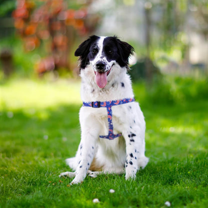PUPTECK No Pull Dog Harness Soft Adjustable Basic Nylon Step in Puppy Vest Outdoor Walking with ID