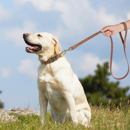 Didog Soft PU Leather Dog Collar, Stylish Quick Released Dog Collar for Large Dogs, Easy Clean