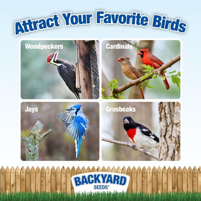 Backyard Seeds Woodpecker No Waste Mix Shelled Peanuts Mixed Bird Seed with Sunflower Chips