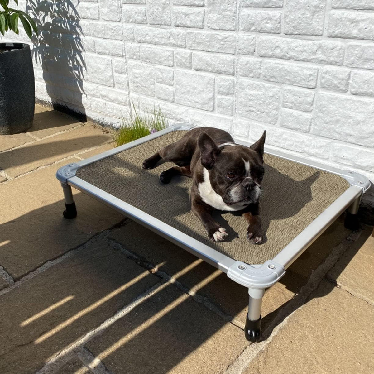 Veehoo Chew Proof Elevated Dog Bed - Cooling Raised Pet Cot - Silver Aluminum Frame and Durable