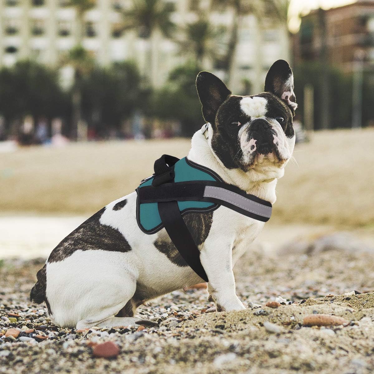 Bolux Dog Harness, No-Pull Reflective Dog Vest, Breathable Adjustable Pet Harness with Handle for