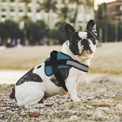 Bolux Dog Harness, No-Pull Reflective Dog Vest, Breathable Adjustable Pet Harness with Handle for