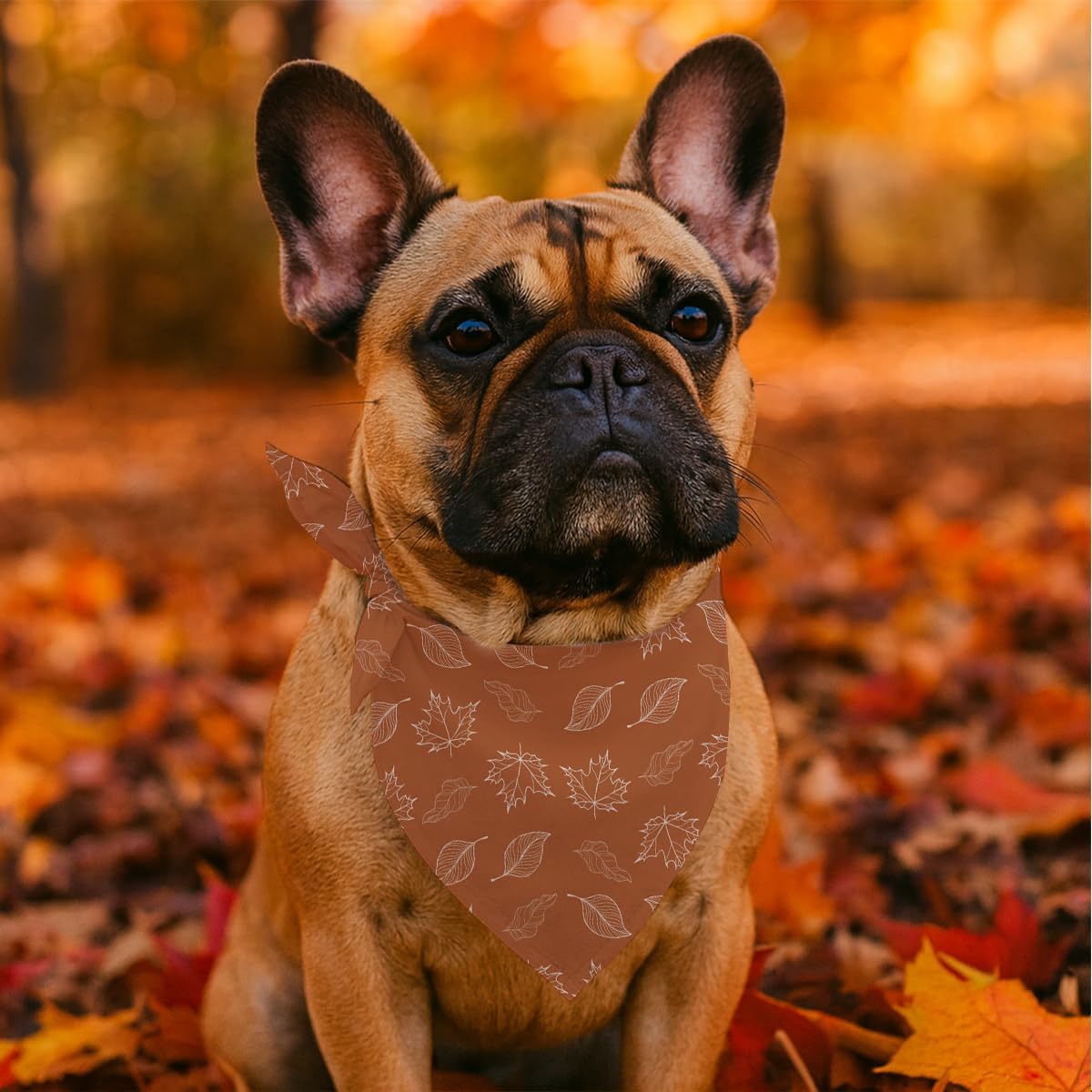 Fall Dog Bandanas Orange Autumn Leaves Print Pet Scarf for Boy and Girl Holiday Bandana for Medium