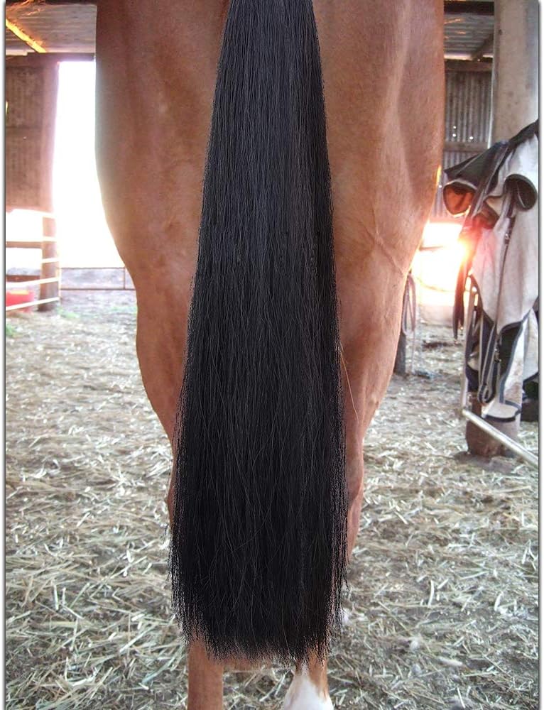 Horse Tail Extensions with Braided Horsehair Loop, Blunt Cut Bottom, 28-30 inches Long and 3/8 lb