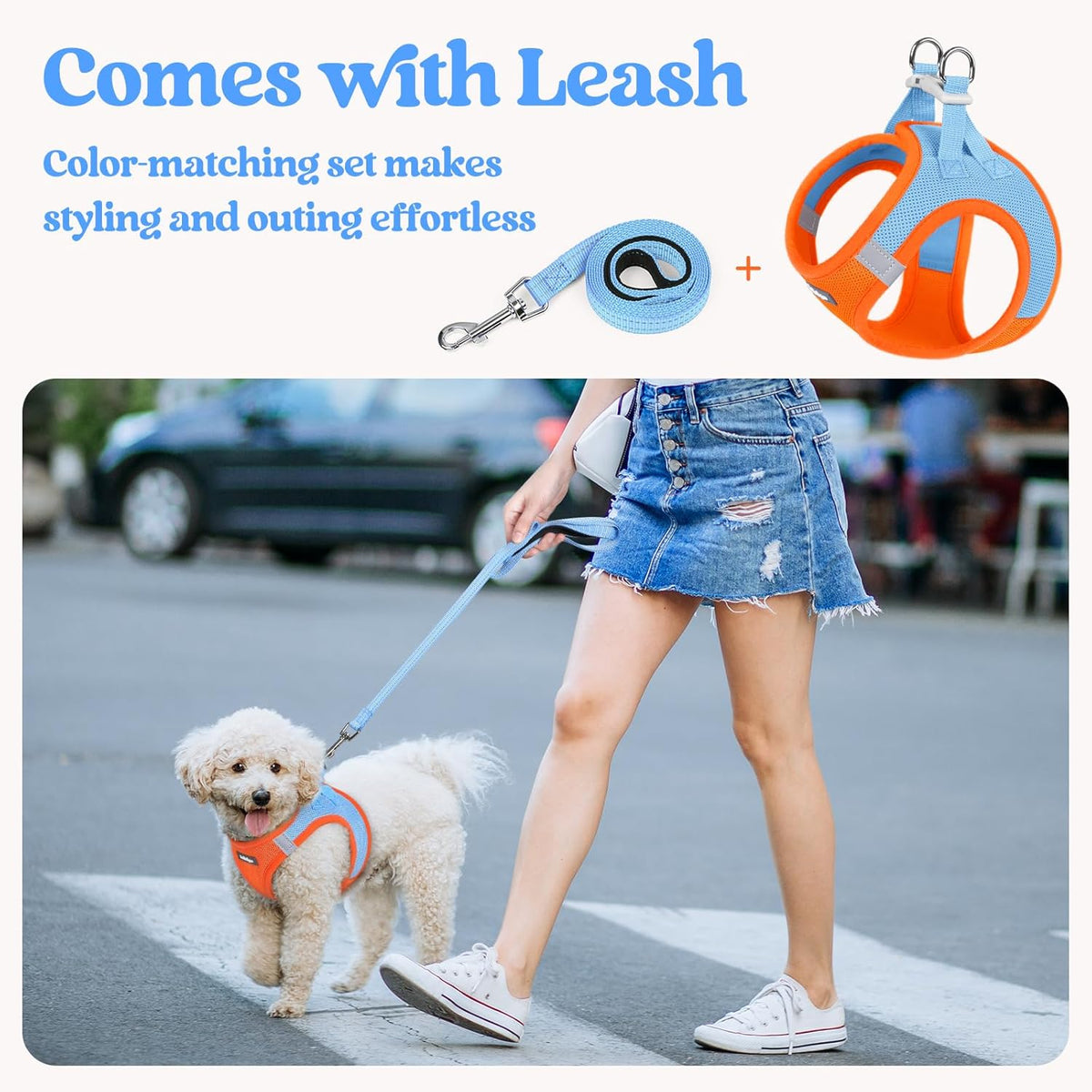 rabbitgoo Dog Harness Small Sized and Leash Set, Step in Soft Light Puppy Vest, Breathable Mesh Pet