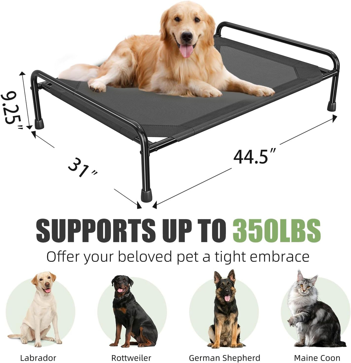 Raised Dog Bed, Outdoor Dog Bed for Dogs, Cooling Elevated Pet Cot, Durable and Sturdy Pet Bed