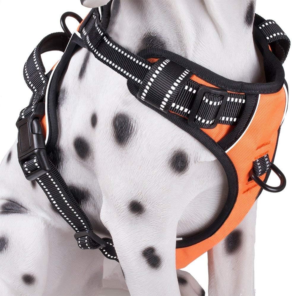 PoyPet No Pull Dog Harness, Reflective Comfortable Vest Harness with Front & Back 2 Leash