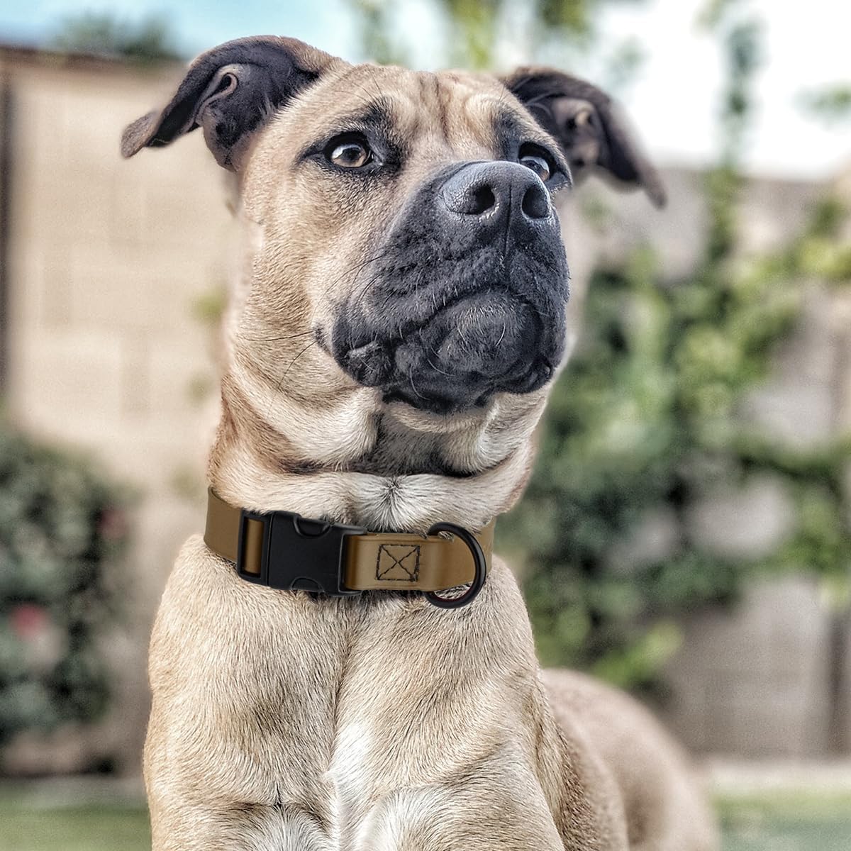 Dogline Biothane Waterproof Dog Collar with Quick Release Buckle Strong Coated Nylon Webbing with