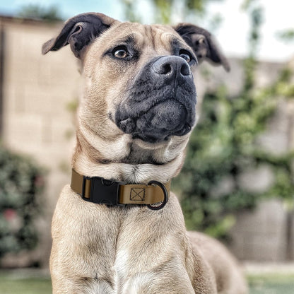 Dogline Biothane Waterproof Dog Collar with Quick Release Buckle Strong Coated Nylon Webbing with