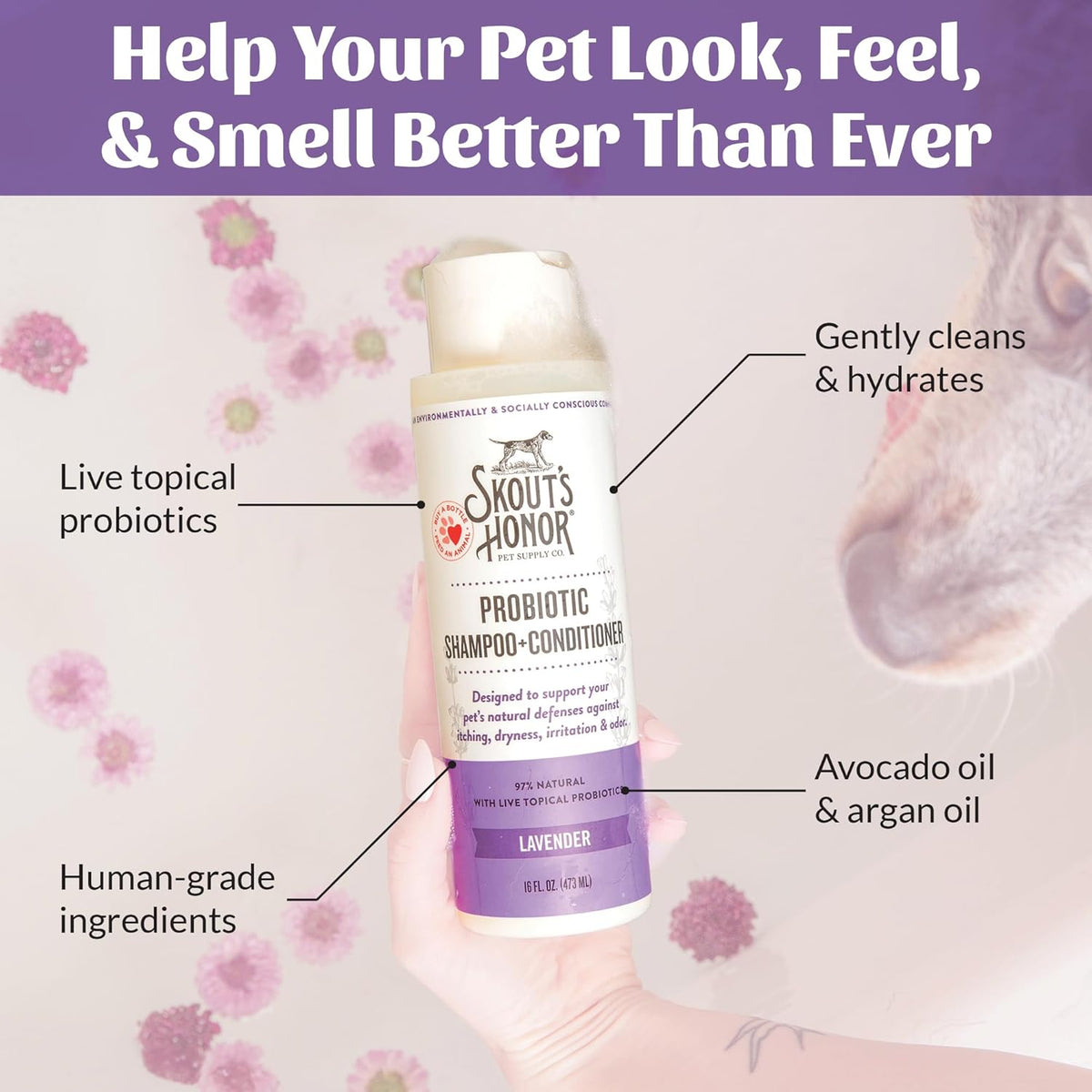 Skout's Honor Probiotic Dog Shampoo & Conditioner with Avocado Oil & Omega-3s, 97% Natural, Paraben