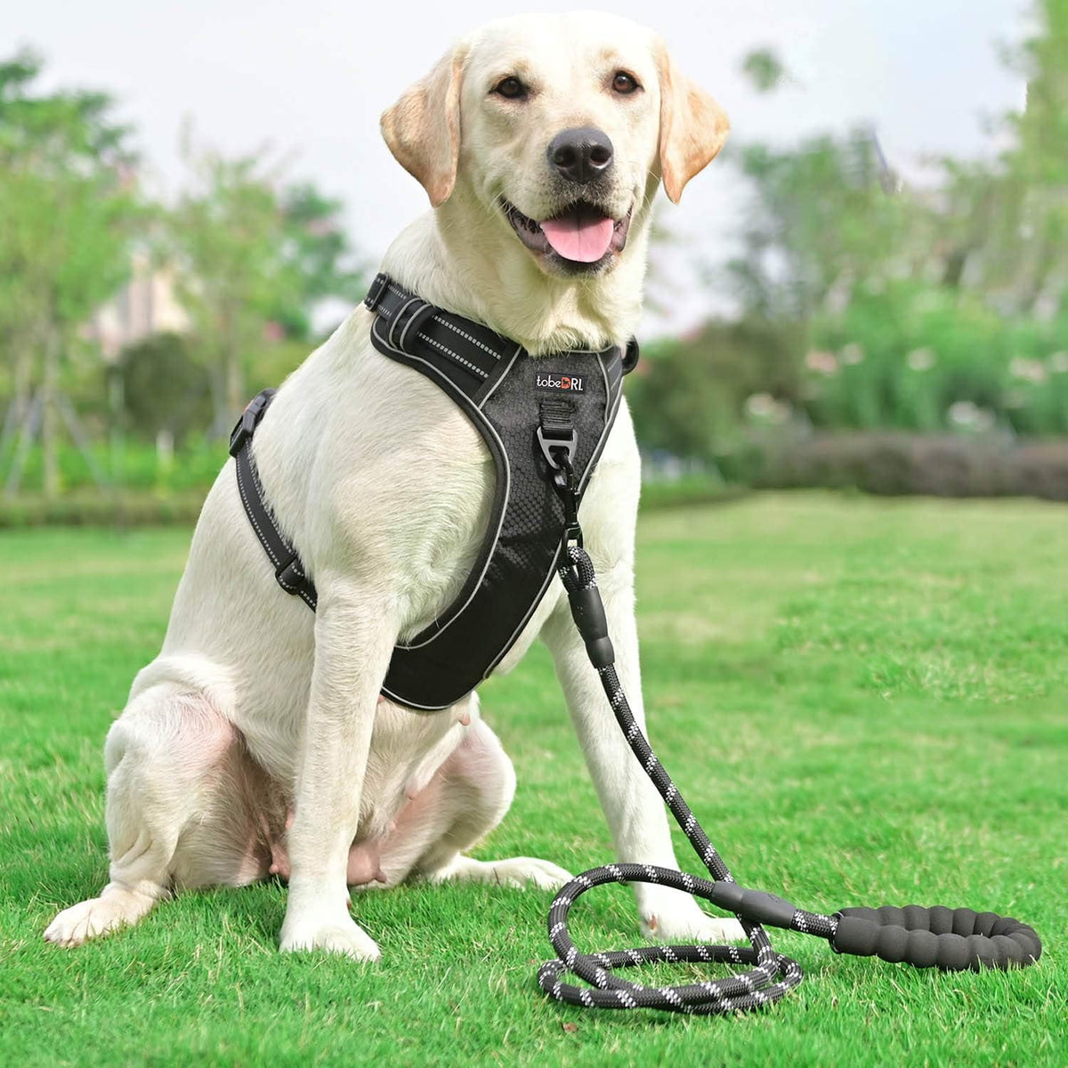 No Pull Dog Harness Adjustable Reflective Oxford Easy Control Medium Large Dog Harness with A Free