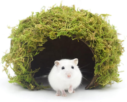 Hamster Hideout - Large, Natural Moss, Handcrafted for Syrian Hamsters, Rats & Guinea Pigs, Safe &
