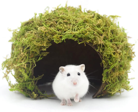 Hamster Hideout - Large, Natural Moss, Handcrafted for Syrian Hamsters, Rats & Guinea Pigs, Safe &