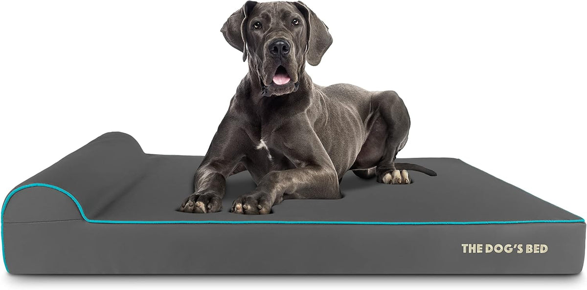 The Dog’s Bed Orthopedic Headrest Dog Bed XXL Grey/Blue 54x36, Memory Foam, Pain Relief for