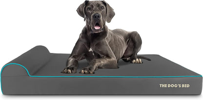 The Dog’s Bed Orthopedic Headrest Dog Bed XXL Grey/Blue 54x36, Memory Foam, Pain Relief for