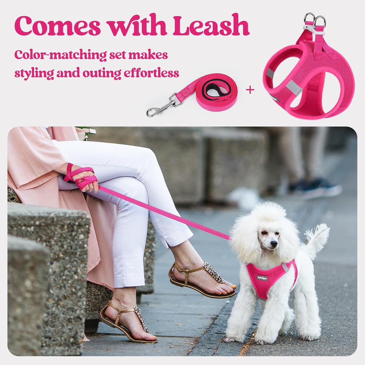 rabbitgoo Dog Harness Small Sized and Leash Set, Step in Soft Light Puppy Vest, Breathable Mesh Pet