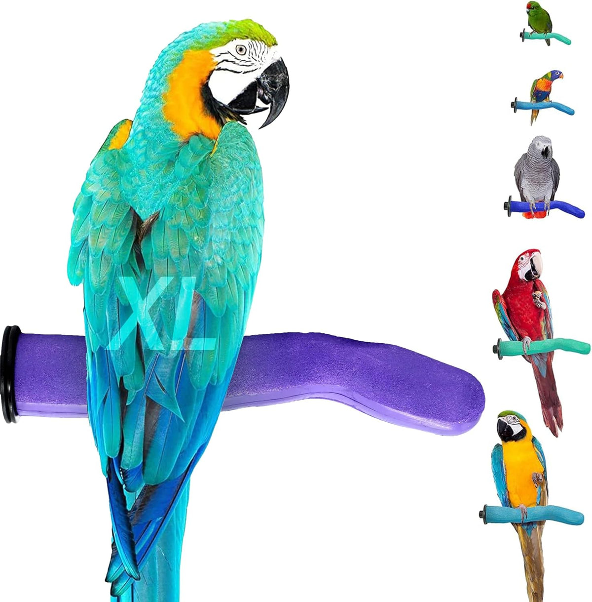 Safety Pumice Perch - Trims Nails and Beak - Promotes Healthy Feet - Safe Non-Toxic Bird Supplies