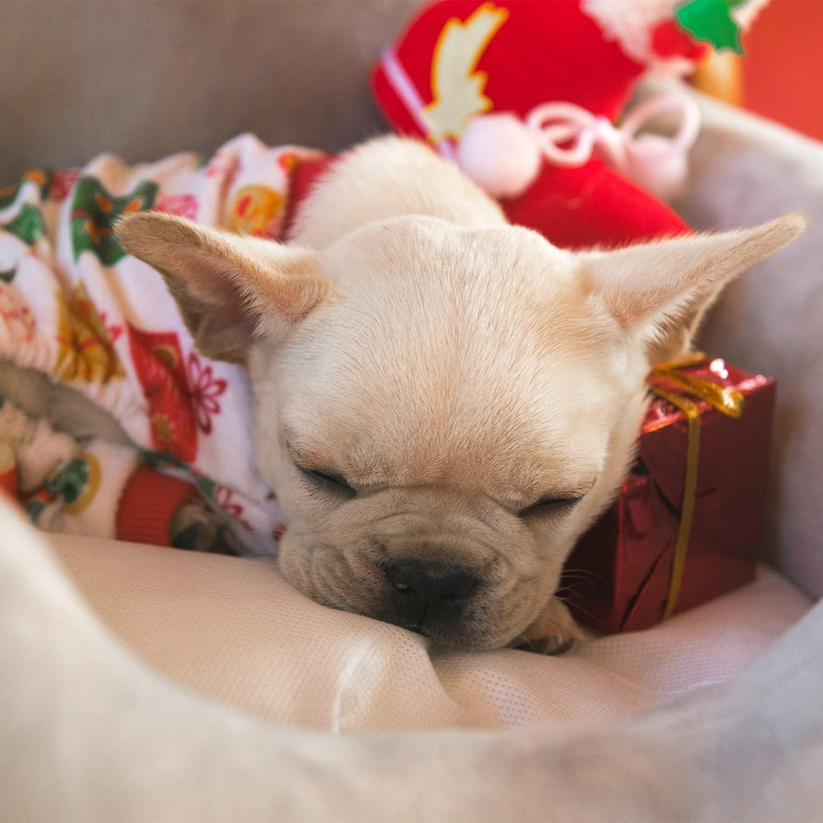 CuteBone Small Dogs Christmas Outfit Soft Puppy Onesies Pjs Dog Pajamas Pet Coat Cat Apparel Comfy