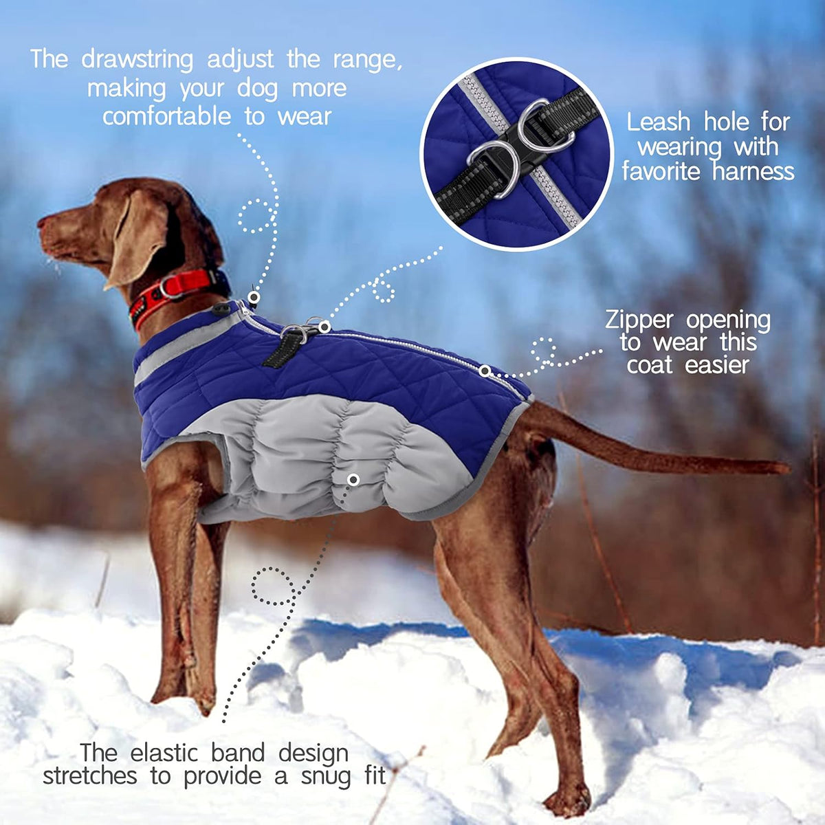 FUAMEY Dog Coat for Small Dogs,Waterproof Dog Winter Jacket with Harness Built in Puppy Cold