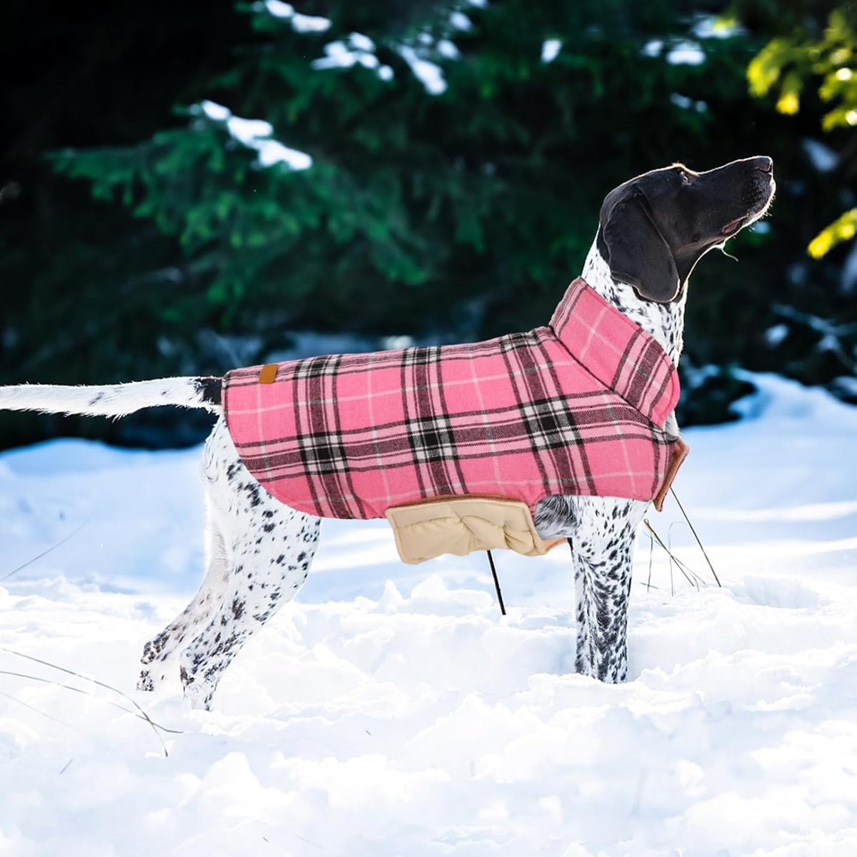 Kuoser Waterproof Dog Coat, Reversible Dog Jacket for Large Dogs, Adjustable Durable Doggie Winter