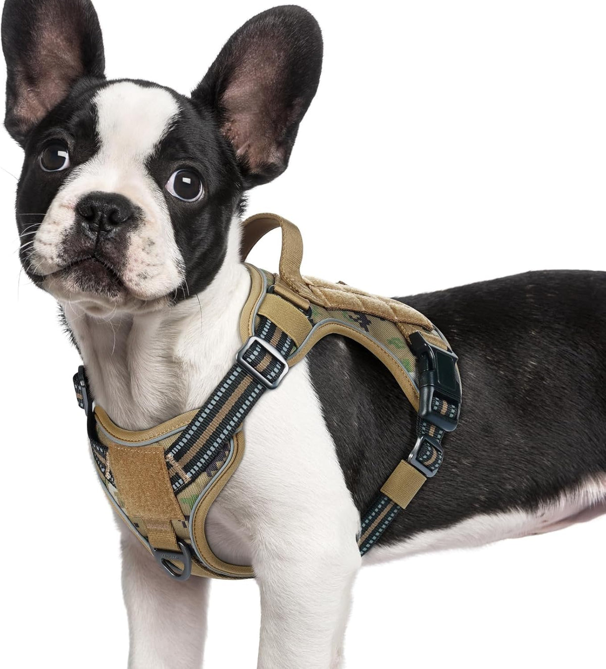 rabbitgoo Dog Harness Small Sized No Pull, Tactical Service Pet Vest with Molle and Control Handle