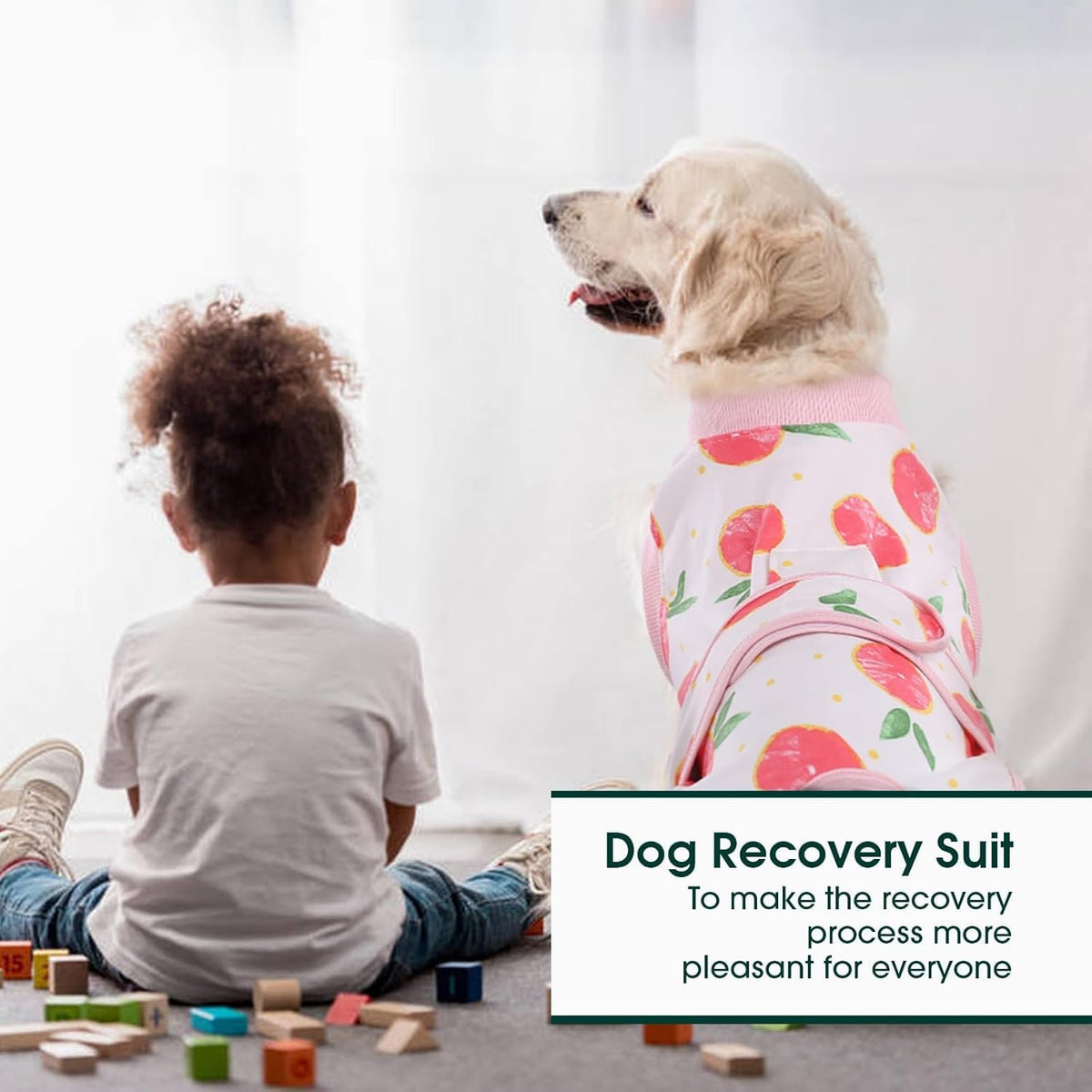 Kuoser Recovery Suit for Dogs Cats After Surgery, Professional Pet Recovery Shirt Dog Abdominal