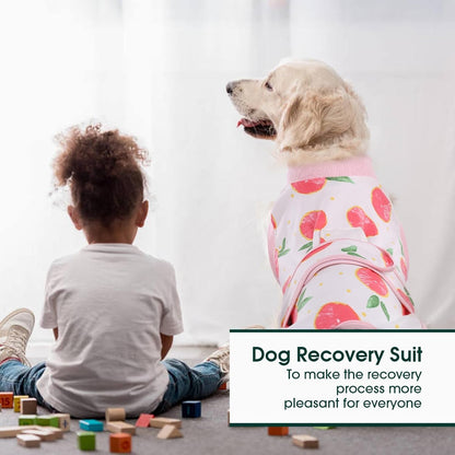 Kuoser Recovery Suit for Dogs Cats After Surgery, Professional Pet Recovery Shirt Dog Abdominal
