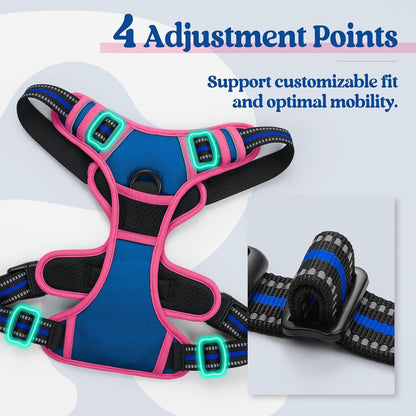 rabbitgoo Dog Harness No Pull with 2 Leash Clips, Adjustable Soft Padded, Reflective Oxford No