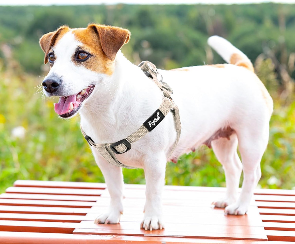 PUPTECK No Pull Dog Harness Soft Adjustable Basic Nylon Step in Puppy Vest Outdoor Walking with ID