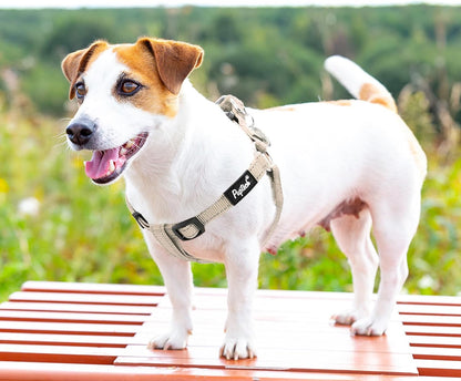 PUPTECK No Pull Dog Harness Soft Adjustable Basic Nylon Step in Puppy Vest Outdoor Walking with ID