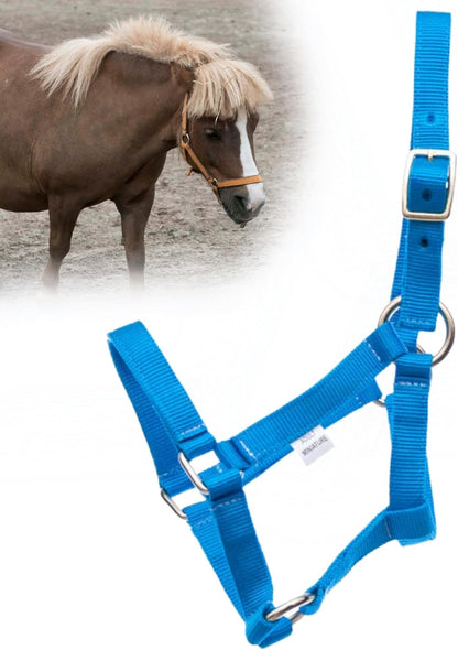 Jeffers Equine Mini Horse Halter – 3/4" Nylon Adjustable Halter for Miniature Horses, Ponies, Under