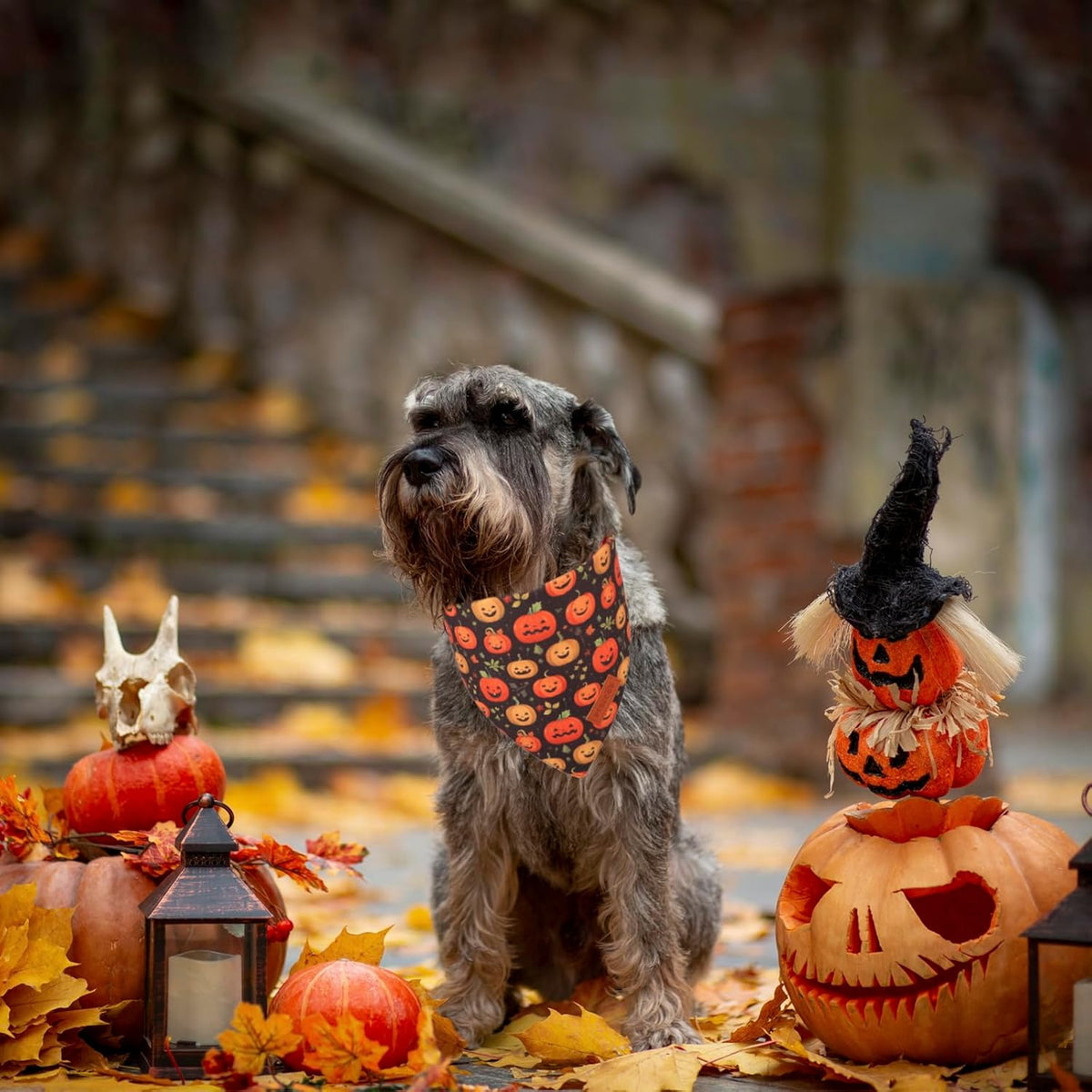 PTDECOR Halloween Dog Bandana, Skeleton Pumpkin Reversible Holiday Dog Scarf, Triangle Halloween