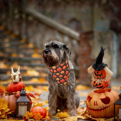 PTDECOR Halloween Dog Bandana, Skeleton Pumpkin Reversible Holiday Dog Scarf, Triangle Halloween