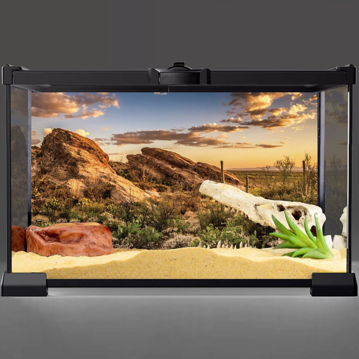 AWERT Reptile Habitat Background Blue Sky Oasis Cactus Sun and Desert Terrarium Background 48x24