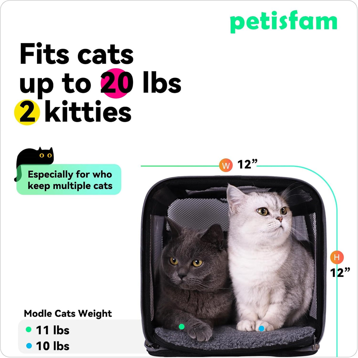 petisfam Soft Pet Carrier Bag for Cats and Puppy Under 20 lbs. Sturdy, Safe, Comfortable and